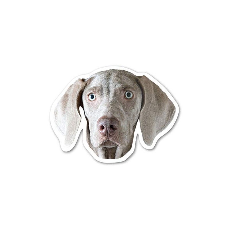 Magnet America Weimaraner Dog Magnet is 3.75" x 5" Made