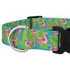 Country Brook Petz - Deluxe Flamingos Dog Collar - Made