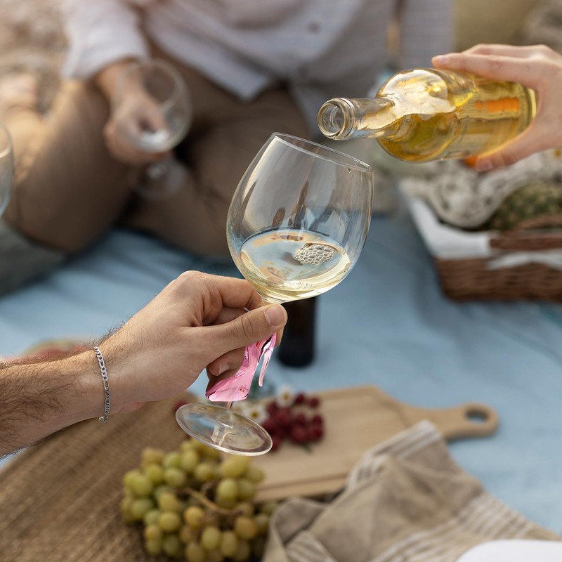 Bothyi Goblet Wine Glass Gift Glassware Long Stem for Juice