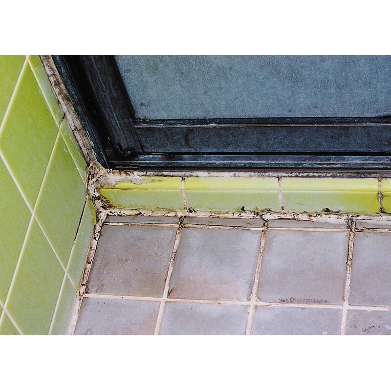 Toki Regular 4.2 oz (120 g) Ganko Ichiban