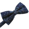 [Bowties.jp] ペイズリー 蝶ネクタイ ボウタイ 簡易装着 全8色 クリーム グレー オレンジ ピンク