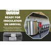Pasteurized Manure Based Mushroom Substrate (25 lbs)