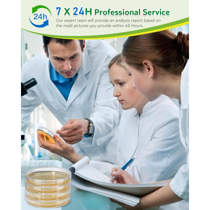 Mold Test Kit for Home, 8 Detection Tests for HVAC,