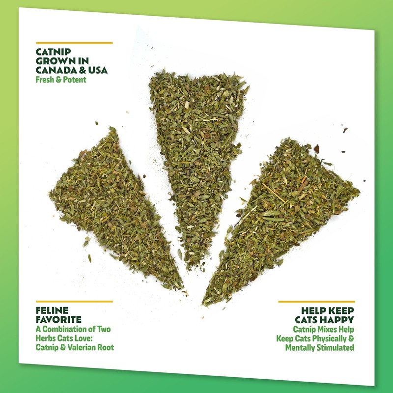 KITTY KA-ZOOM Valerian Root Roar - Catnip & Valerian Root