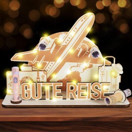 Wooden Money Gifts Birthday Gift Travel Aeroplane Gift Wooden Holiday Fund Money Box Money Gifts Travel Fund for Friends, Family, Lovers Women, Men (LXFJBJ01)