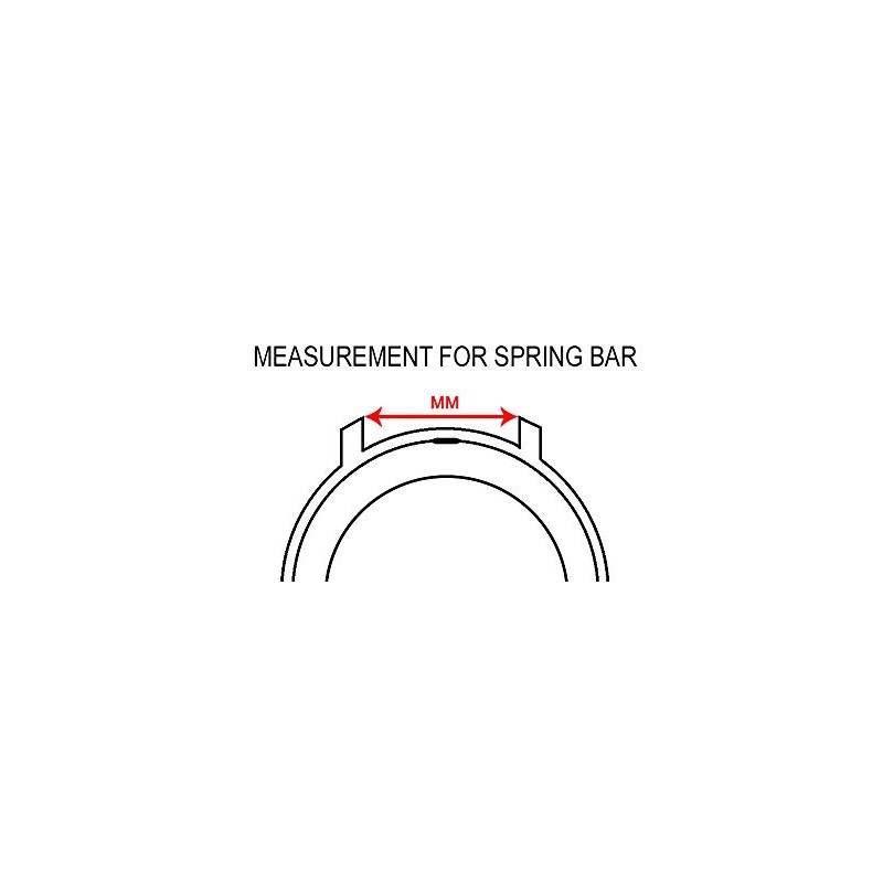 Alpine 6 pcs Stainless Steel Spring Bars with Spring Bar