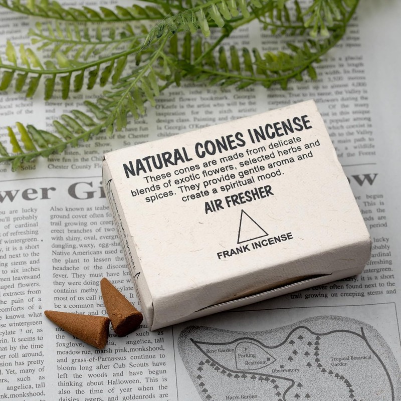 DANNY LIB Frankincense Incense Cones Incense Holder Set of 25