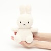 BON TON TOYS Terry (Miffy Soft Green)