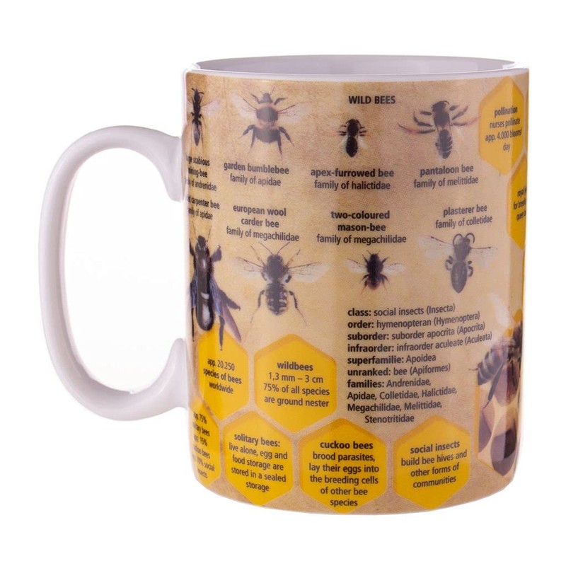 Könitz Wissensbecher Bees [EN]