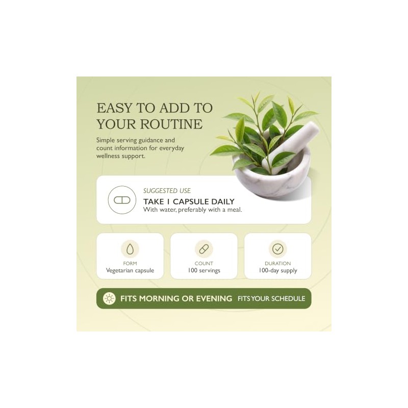 Té Verde Suplemento de té verde, Envase con 100 Cápsulas