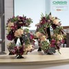 Flowerbox Oasis Floral Foam Bioline Number 3 40 cm