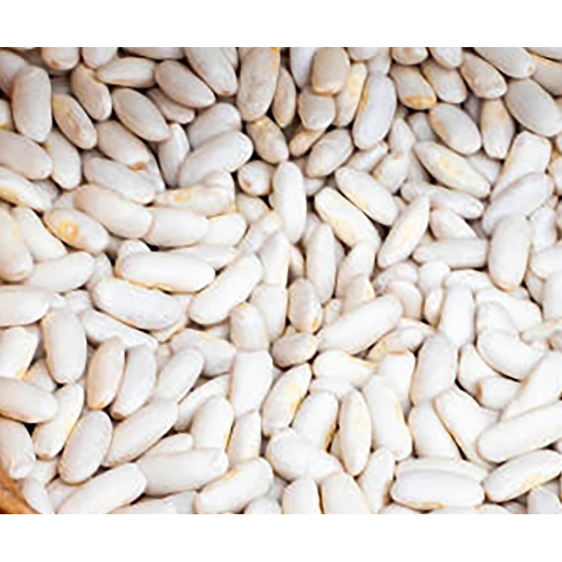 Bush Bean Navy Beans Seeds