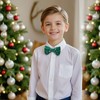 DiBanGu Boys Christmas Bowtie Set Silk Xmas Holiday Pre-tied Bowtie