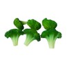 Gucra Vegetables Model Broccoli 6 Pack Food Sample