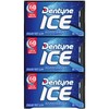 Dentyne Ice Peppermint Sugar Free Gum, 9 Packs of 16