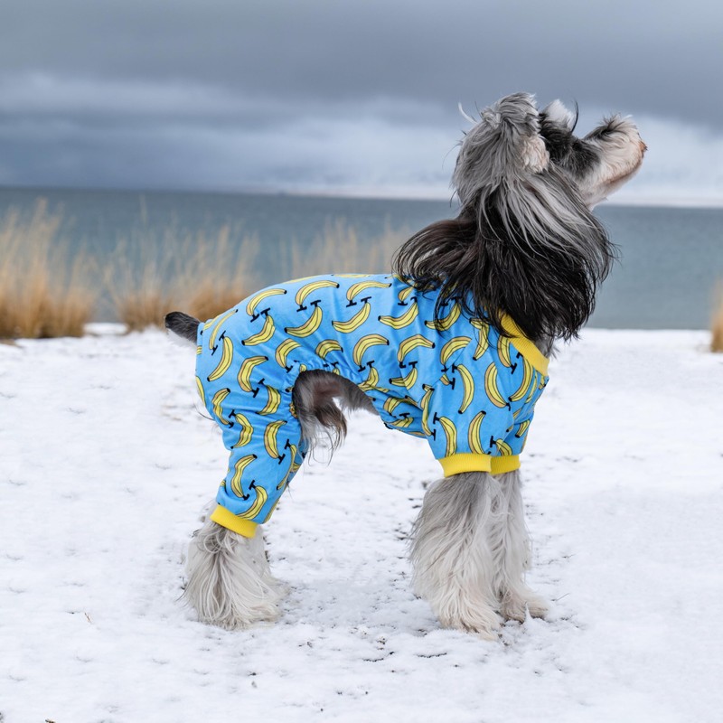 CuteBone Soft & Stretchy Dog Pajamas - Cozy Pet Jammies