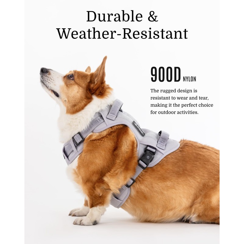 2025 New Edition - Fei & Eve Instant Magnetic Dog