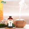 Organic Zing Sage (Salvia Officinalis L.) Oil | Pure &