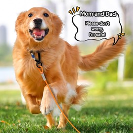 Dog Tie Out Cable 10FT - Heavy Duty Dog Lead Up to 250 Pounds - Reflective & Rust-Free with Locking Clip & 360° Rotating Clasp - Tangle-Free Dogs Runner for Yard,Camping