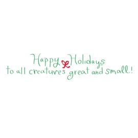 Graphique Share Your Joy! Holiday Cards - Pack of 15 Cards with Envelopes - Christmas Greetings - Gold Foil and Glitter Accents - Cat and Dog Lovers - Boxed Set - 4.75" x 6.625"