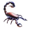 50 Inch Scorpion Foil Balloons Large Vivid 3D Balloons Party