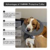 FAIRWIN Inflatable Dog Collar Recovery Cone for Medium Waterproof Elizabethan