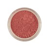 Rainbow Dust Strawberry - Edible Powder Colour 4g