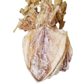 Dried Squid Dried Cuttlefish (100g(3.53oz))
