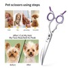 Grooming Pet Shear, 6.5 Inch Downword Curved Scissors, Curved Shears