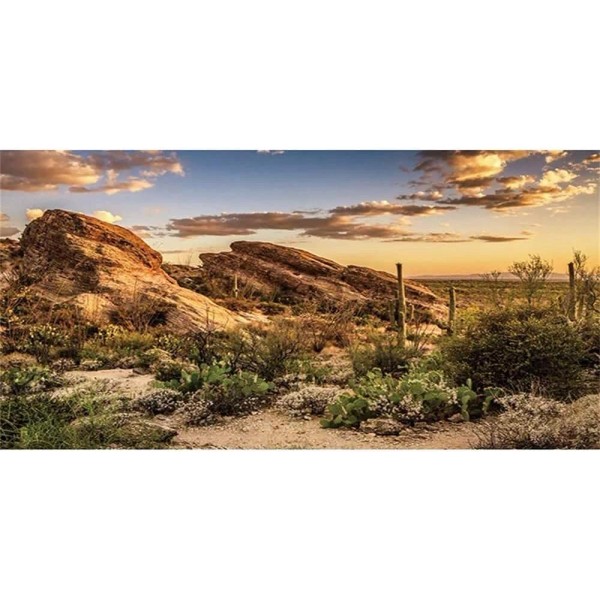 Reptile Habitat Background Blue Sky Oasis Cactus Sun And Desert