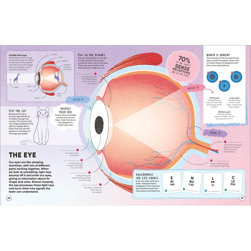 Active Learning! Human Body: More than 100 Brain-Boosting Activities that