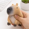 3 Pcs Capybara Squishy Toy for Squeezing & Fidgeting –