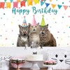 Crefelimas Let’s Pawty Cats Birthday Backdrop are You Kitten Me