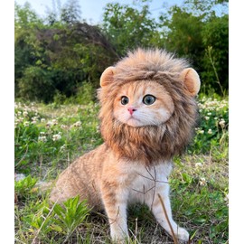 Peluca De Melena De León para Gato, Disfraz De Perro Y Gato, Disfraces Divertidos De Gato para Halloween, Navidad, Fiestas, Sesiones De Fotos