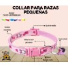 Collar Perros Y Gatos Ajustable Raza Pequeña Kit 6 Piezas
