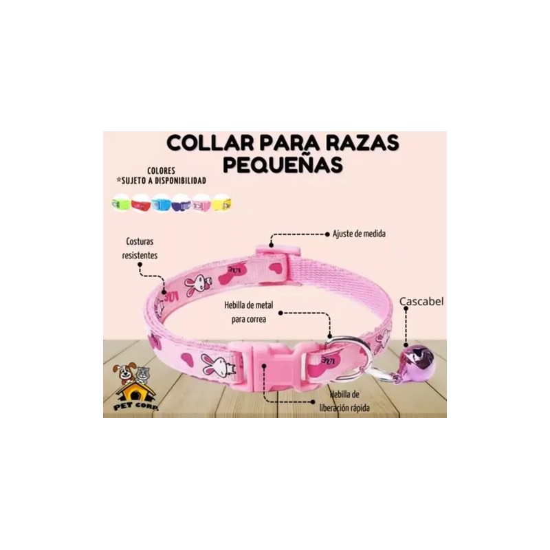 Collar Perros Y Gatos Ajustable Raza Pequeña Kit 6 Piezas