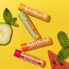 Burt's Bees Kit Freshly Picked Lip Balm 4 unidades