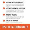 Ubalun Mole Traps That Kill, Easy Setup and Quick Kill