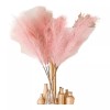 TENDER LIHOME 5 Pampas Secas Plantas Flores Artificiales Ramas Decorativas