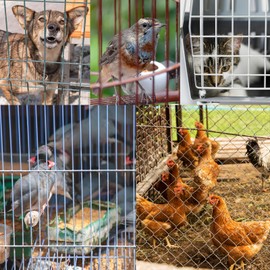 Wurstclipper Zange,Zaunzange Hog,Drahtbefestigungszange,Wurstclipper Clips,Ringzange Hog Ring Zange für Matratzen Auto Kissen Sofas Zäune Pet Käfige