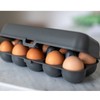 Koziol EGGS TO GO Egg Box, 10 Eggs, Storage Box