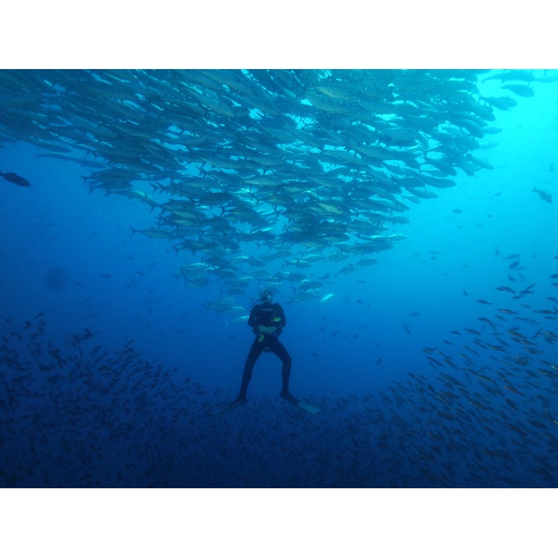 O'Neill Men's Wetsuits Heat 3mm Socks, Black, Medium