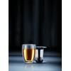 Bodum TEA FOR ONE Double Wall Glass and Tea Strainer,