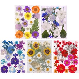 Gugxiom Flores Prensadas Secas para Resina, 5 Bolsas de 100 Piezas de Flores Prensadas, 5 Temas de Colores, Flores Secas para Arte de Uñas, Resina, Diseño de Joyería de (Tipo 1)