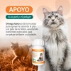 Omega Gatos Ruiland Con Taurina Piel Y Pelo Gatos 60