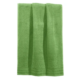 Erwin Müller Heidelberg Hand Towel, 100% Cotton, Apple Green, 50 x 80 cm – Absorbent, Quick-Drying, Compact, Lightweight Quality – Ideal for Sports, Beach, Travel (Other Colours)