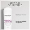 Goldwell Dualsenses Blondes and Highlights Anti-Brassiness Conditioner for Unisex, 10.1