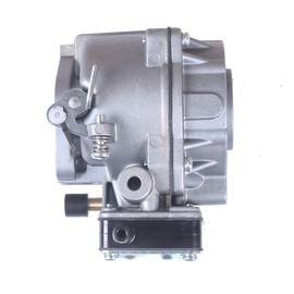 goodbest New Carburetor for 694026 Replaces # 495009, 491549, 495029