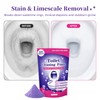 Toilet Cleaning Foam Powder, Toilet Bowl Cleaner for Limescale, 3.52