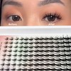 Fairy Lash Clusters Manga Cluster Eyelash Whybraw Anime Lash Clusters